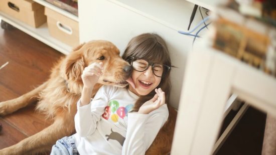¿Cuáles-son-las-mejores-razas-de-perros-para-convivir-con-niños