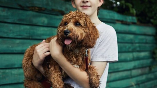 adoptar-perro-qué-hacer-familia