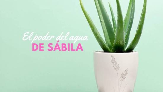 agua-de-sabila-beneficios-y-como-se-prepara