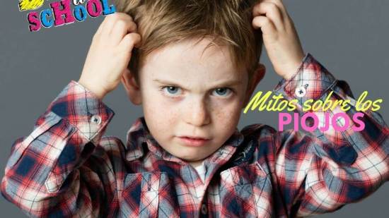 10-mitos-sobre-los-piojos