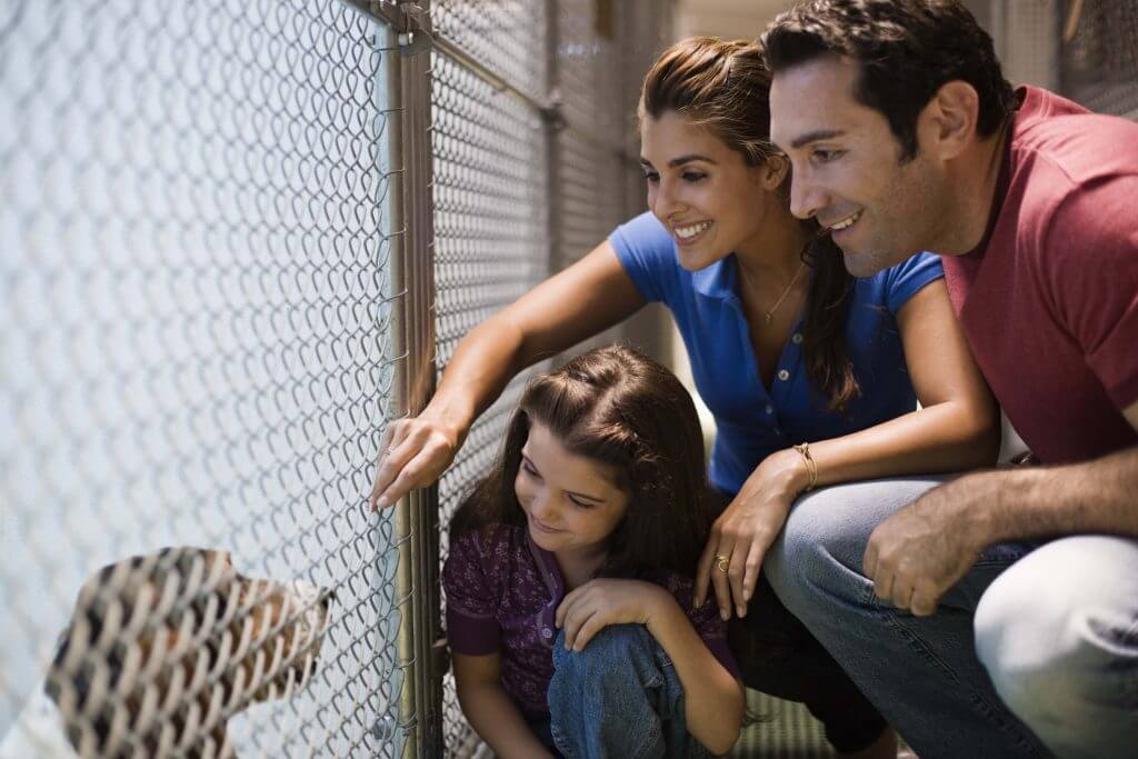 Sorprende a tu familia con un perro adoptado