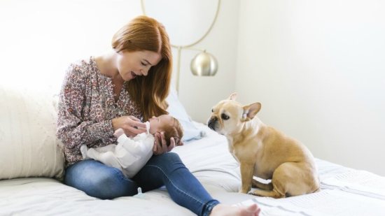 Tu-perro-y-tu-recién-nacido-ayúdalos-a-conocerse-y-amarse