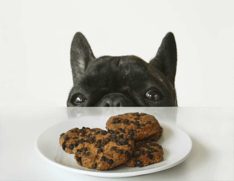 Galletas-de-chocolate-con-¡chispas-de-chocolate
