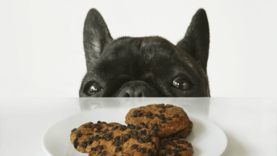 Galletas-de-chocolate-con-¡chispas-de-chocolate