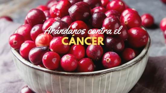 arandanos-previr-cancer-salud-consejos