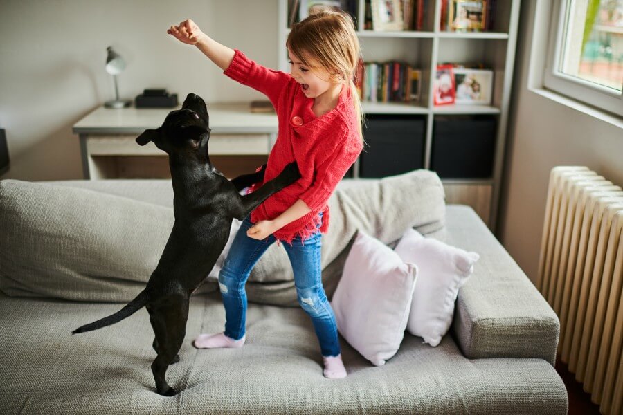 perro-cuidar-hijo-que-aprende