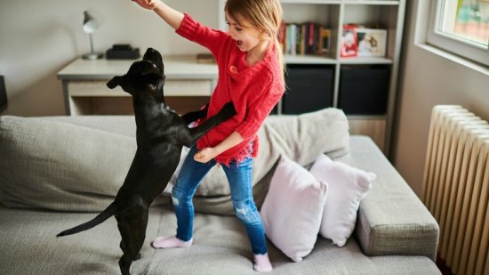 perro-cuidar-hijo-que-aprende