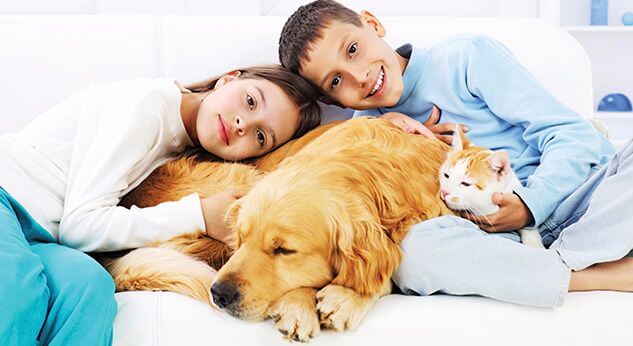 Niños que aman a los animales son más felices
