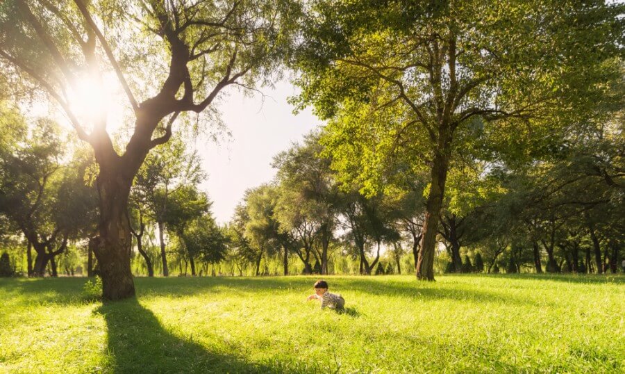 Plantar-un-árbol-por-cada-recién-nacido-una-iniciativa-ambiental-en-Bruselas
