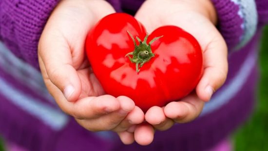 Hacer-que-tu-hijo-prefiera-la-comida-saludable-¡es-posible