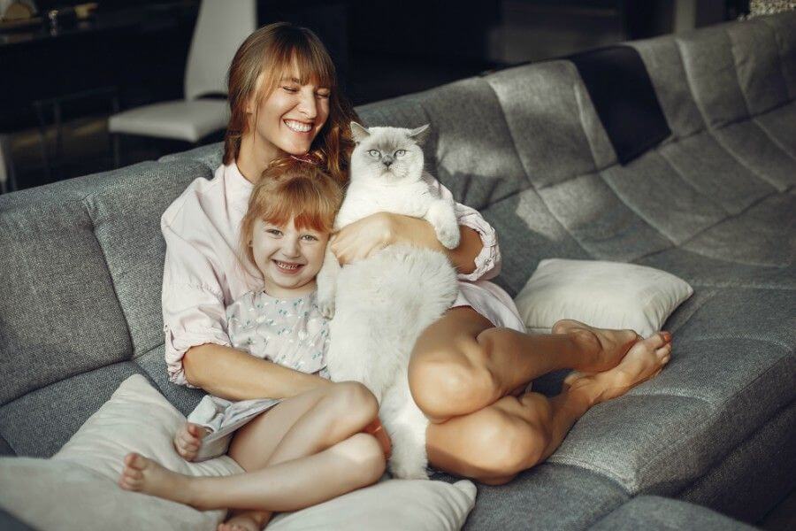 ¿Por-qué-tener-un-gato-en-tu-casa