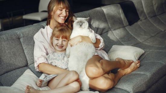 ¿Por-qué-tener-un-gato-en-tu-casa