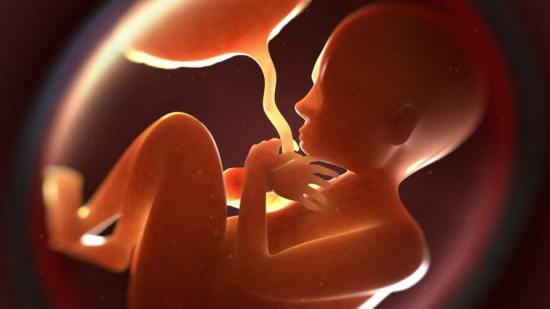 cordon-umbilical-home