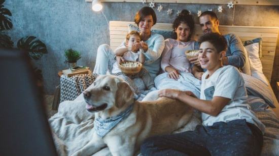 Top-10-de-películas-familiares-que-no-te-puedes-perder-en-2019