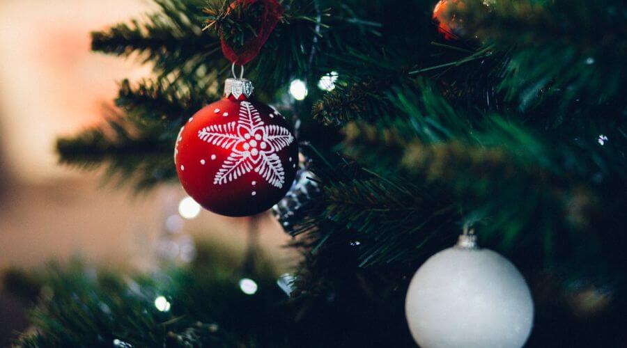 arbol-home