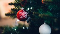 arbol-home