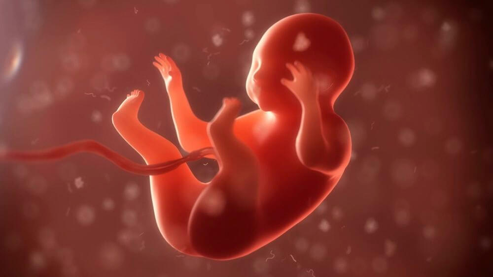 Feto "mata" a su madre tras contagiarle rara enfermedad