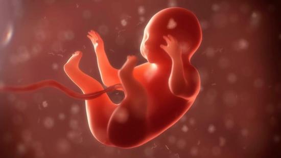Feto "mata" a su madre tras contagiarle rara enfermedad