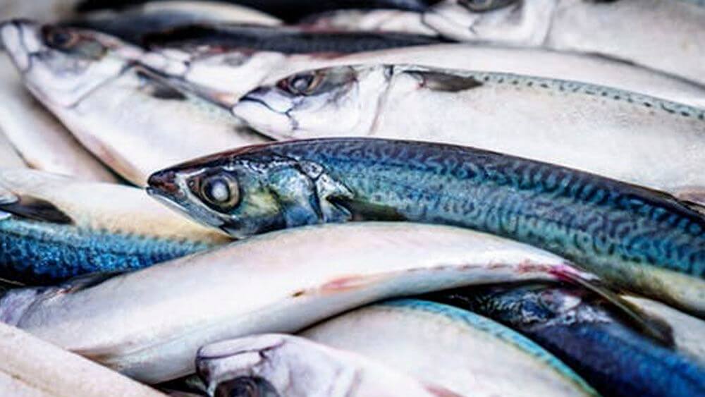 Dieta a base de pescado ayuda a los niños asmáticos