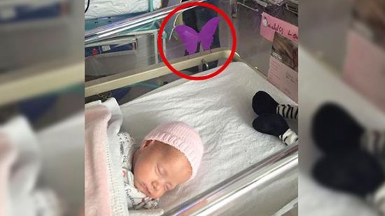 Mariposas moradas: una forma de indicar el luto por un bebé en los hospitales