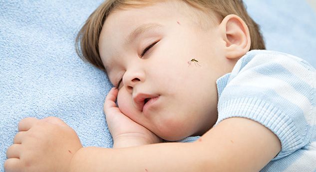 Protege a tu bebé de los mosquitos