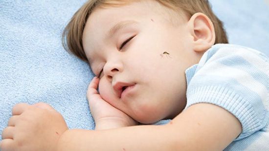 Protege a tu bebé de los mosquitos