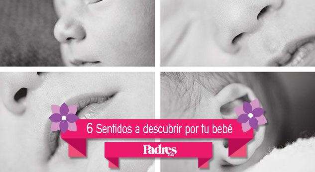 6 tips para desarrollar sus sentidos