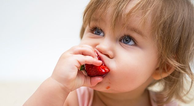 Baby Led Weaning