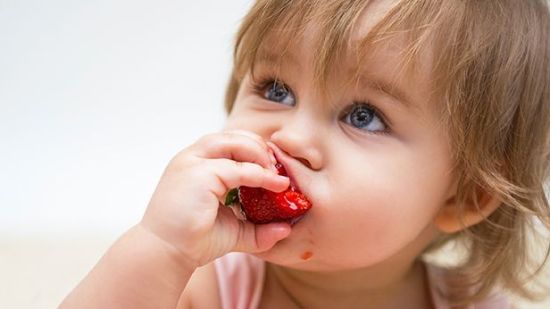 Baby Led Weaning