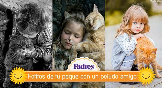 15 tiernas fotos de bebés y gatitos