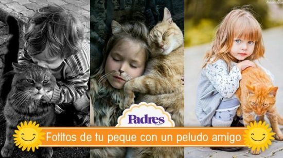 15 tiernas fotos de bebés y gatitos