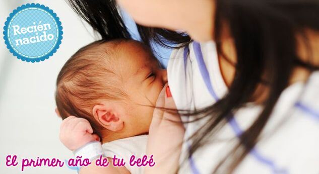 4 puntos para una lactancia ideal del recién nacido