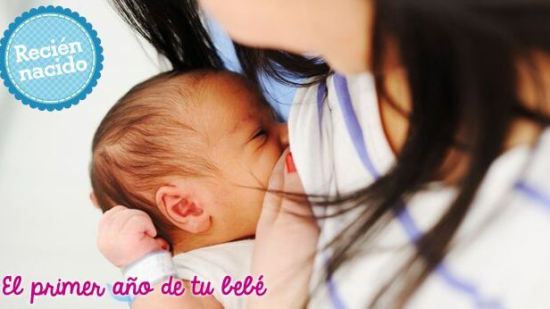 4 puntos para una lactancia ideal del recién nacido