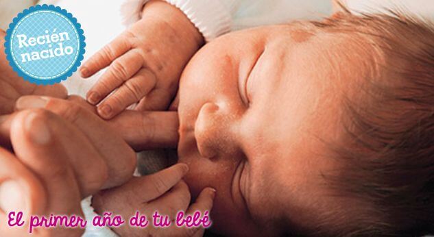 Cómo es en realidad un bebé recién nacido