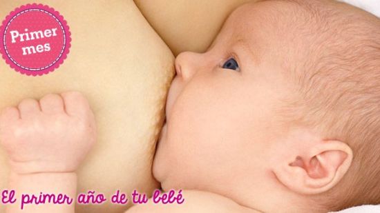 Alimentación en el primer mes: El bebé sabe cuánto tiempo tiene que alimentarse
