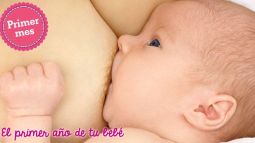 Alimentación en el primer mes: El bebé sabe cuánto tiempo tiene que alimentarse