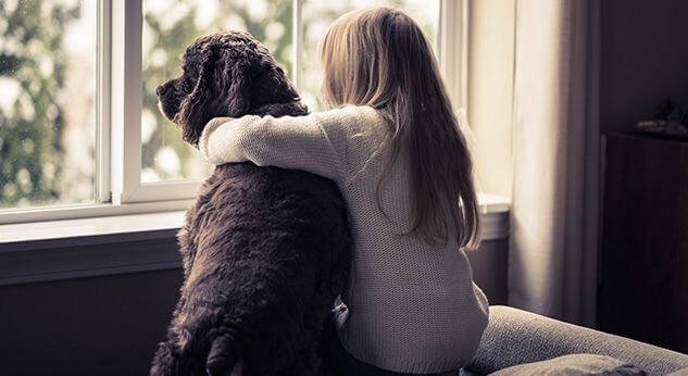 Terapia con perros contra el bullying