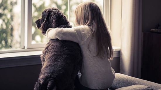 Terapia con perros contra el bullying