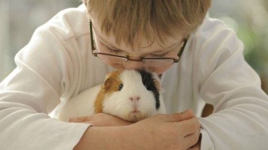 ¿Son los roedores una buena mascota para los niños?