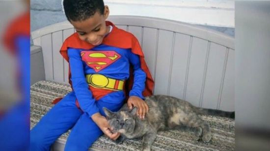 Pequeño superhéroe de 5 años ¡que rescatar gatos!