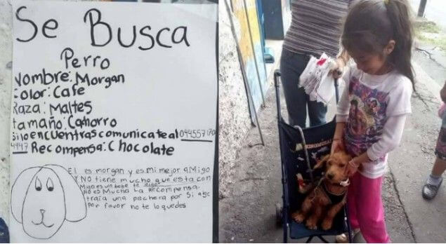 Pequeña recupera a su mascota con un lindo cartel que conmovió a todos en las redes sociales