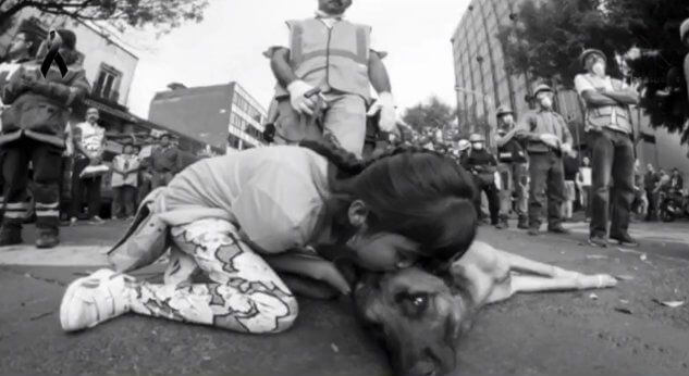 Así agradeció una niña a perro rescatista