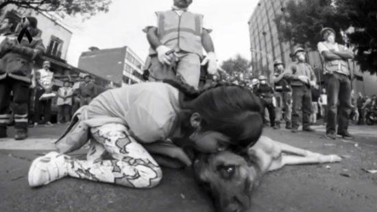 Así agradeció una niña a perro rescatista