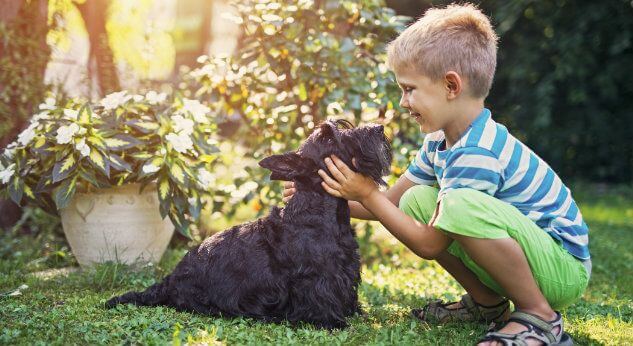 Los mejores amigos de los niños son las mascotas
