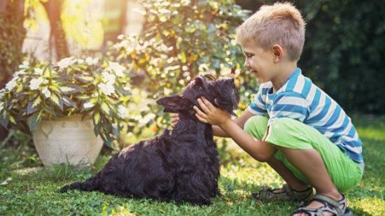 Los mejores amigos de los niños son las mascotas