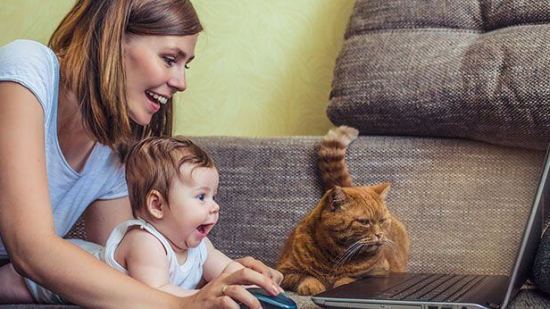 Estudio revela que las mascotas estimulan el desarrollo infantil