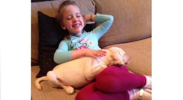 Ladrones se llevan el perrito de una niña