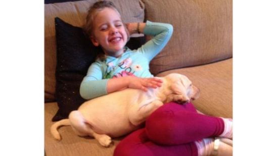 Ladrones se llevan el perrito de una niña