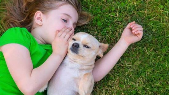 La mejor mascota para tus hijos