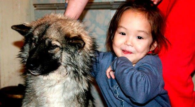 Encuentran a niña de tres años perdida en el bosque ¡gracias a su perro!